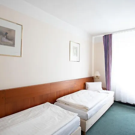 Parkhotel Hotel Tachov (Plzen)